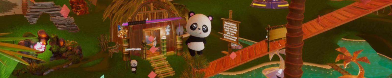 Banner Image