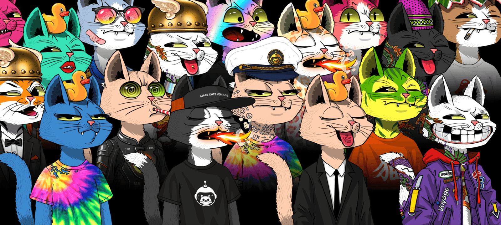 Banner Image