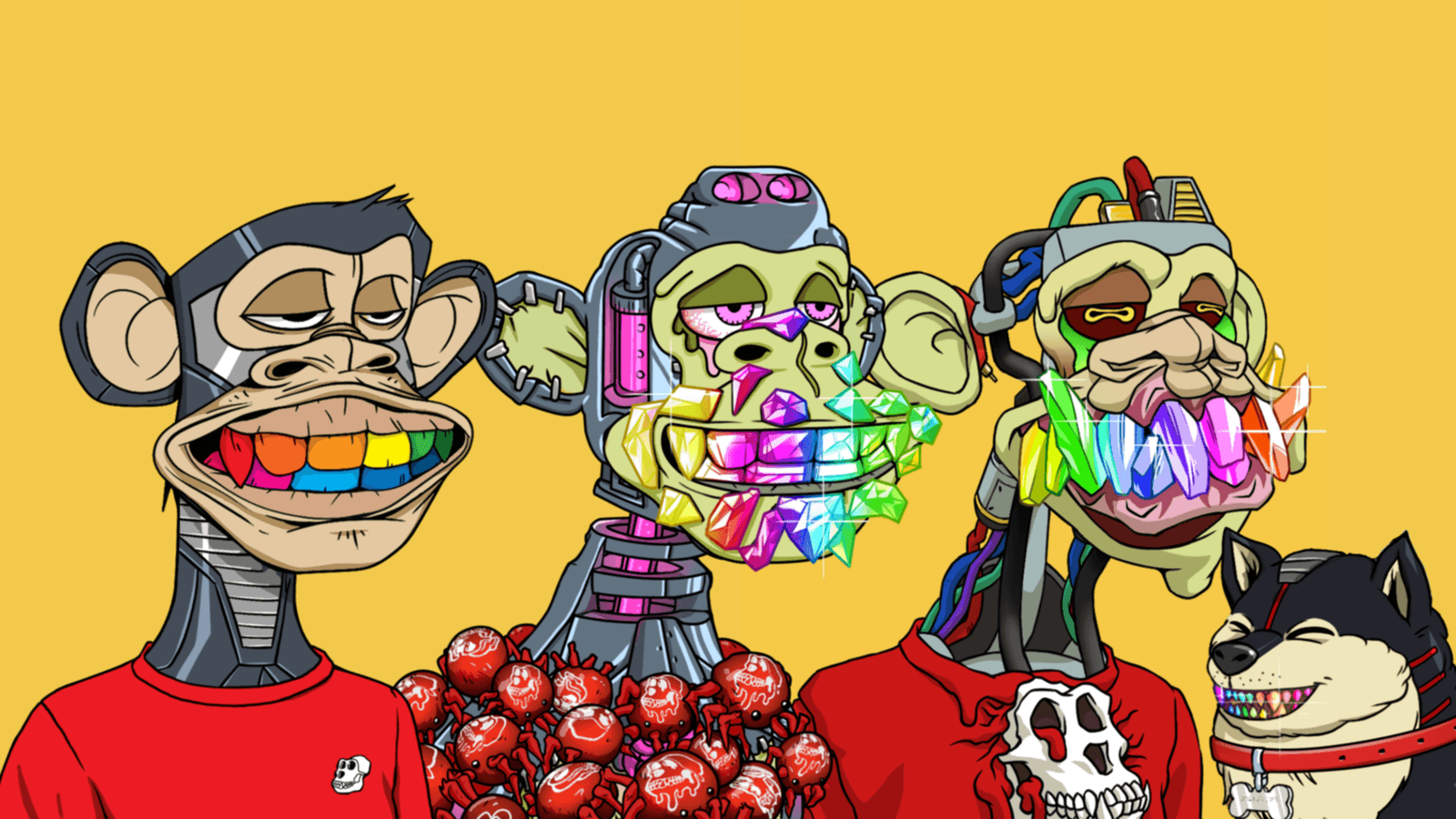 Banner Image
